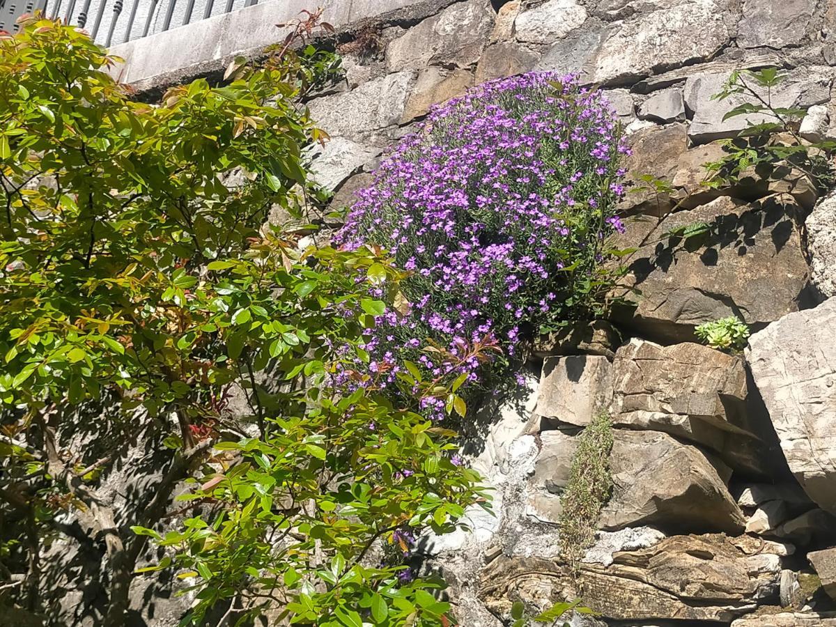Torre Del Grifone Nel Medioevo Di Cividale Del Friuli Villa Faedis Exterior photo